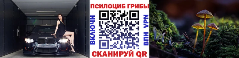 omg рабочий сайт  где найти   Нижний Новгород  Галлюциногенные грибы прущие грибы 