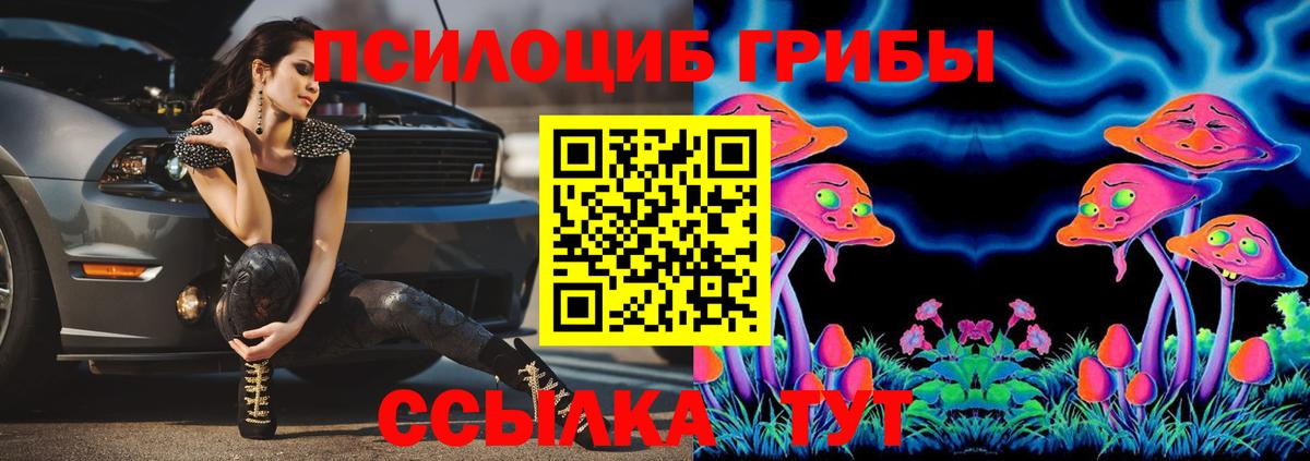 Галлюциногенные грибы мухоморы  Галлюциногенные грибы Psilocybine cubensis  Нижний Новгород  Вход с VPN 