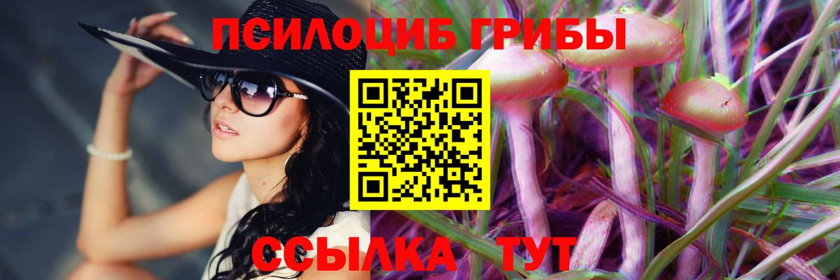 Псилоцибиновые грибы Psilocybine cubensis Нижний Новгород