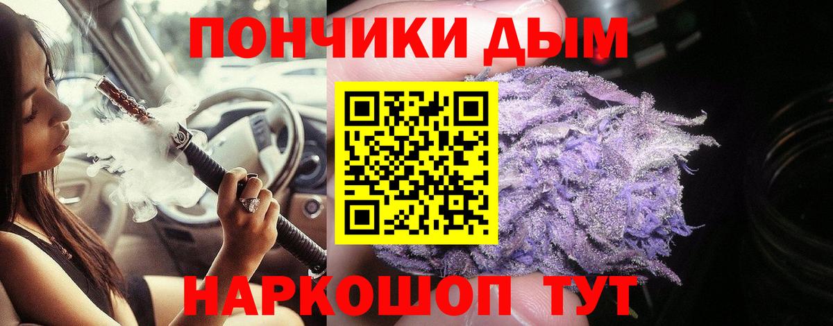 Шишки марихуана семена  Конопля индика  Вход с VPN  Марихуана план  Марихуана конопля  Нижний Новгород 